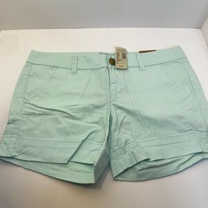 American Eagle Outfitters Mint Green Women's Shorts